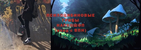 первитин Няндома