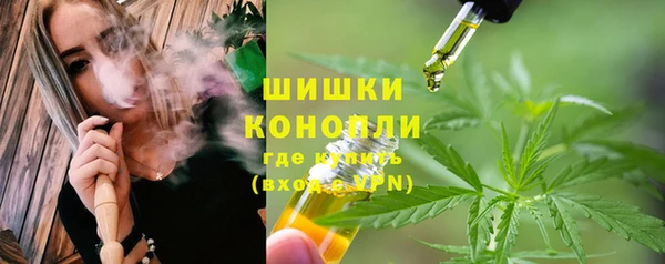 первитин Няндома