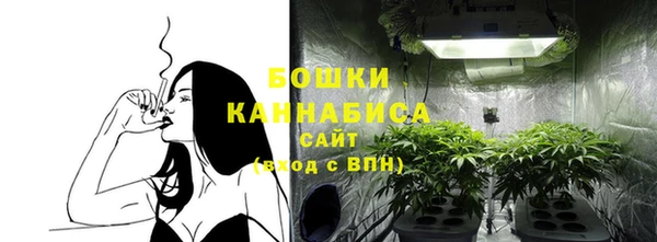 стафф Нягань
