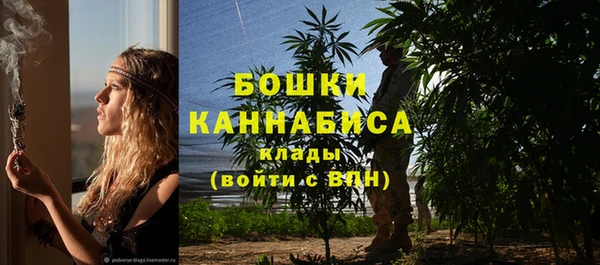первитин Няндома