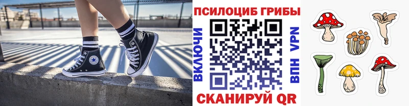 Галлюциногенные грибы GOLDEN TEACHER  KRAKEN как зайти  Тулун 