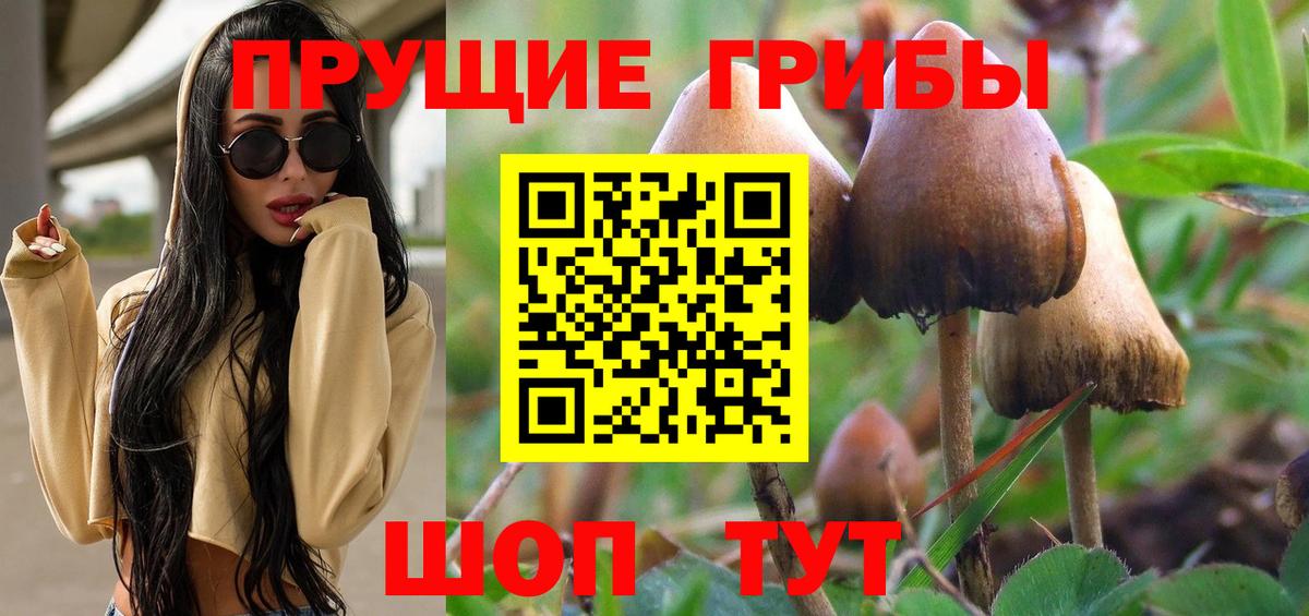 Тулун  Псилоцибиновые грибы MAGIC MUSHROOMS  Вход с VPN 
