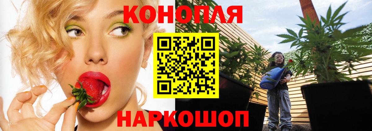 Бошки Шишки гибрид  Вход с VPN  Бошки Шишки план  Тулун  Марихуана White Widow 